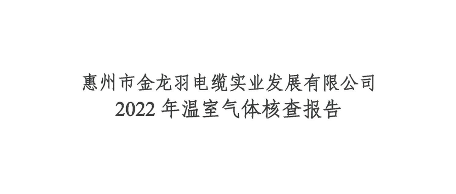 �°�ʤ���߹���2022�����������˲鱨��