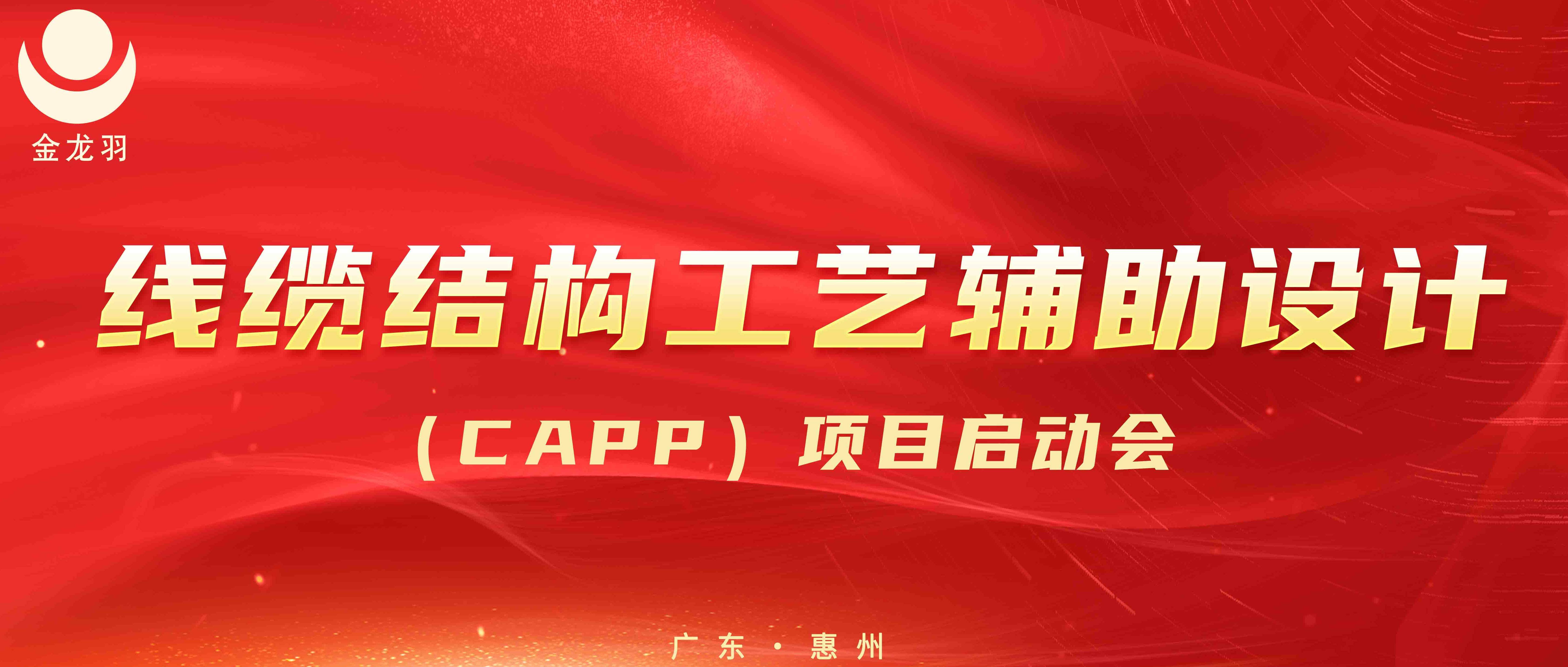 °ʤ߹|½ṹո(CAPP)ĿԲٿ