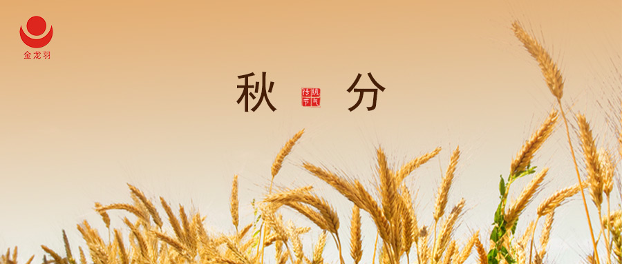  I зɫ